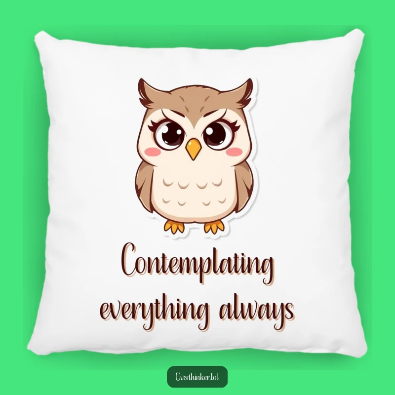Funny Owl Pillow: Cozy Confusion for Your Couch, A Hilarious Gift